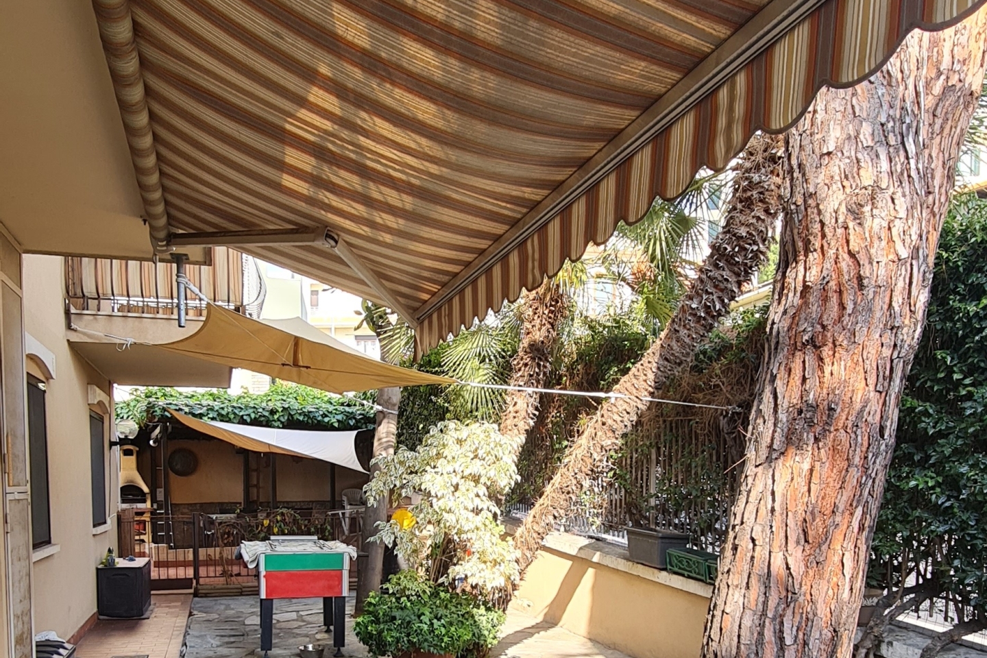 Foto immobile Bilocale con giardino