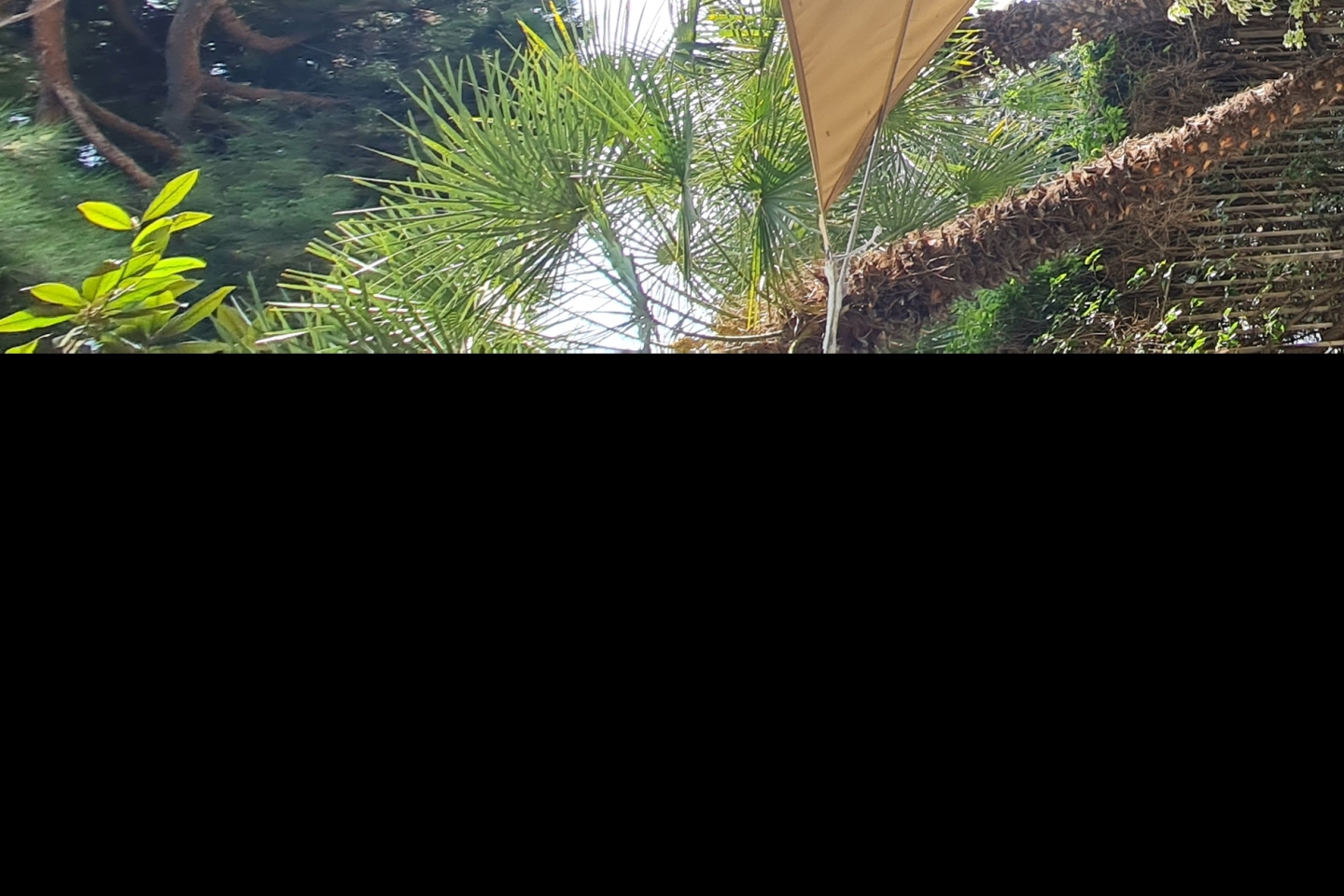 Foto immobile Bilocale con giardino